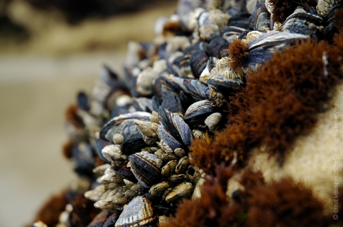 creativeaspects_portfolio_abstract-11