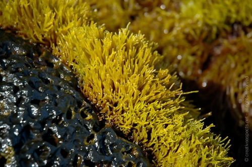 creativeaspects_portfolio_abstract-12