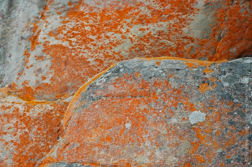 creativeaspects_portfolio_abstract-19