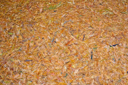 creativeaspects_portfolio_abstract-21