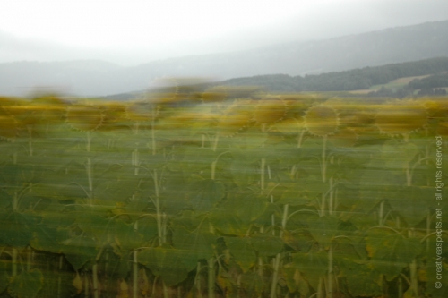 creativeaspects_portfolio_abstract-23