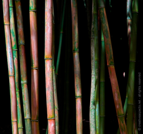 creativeaspects_portfolio_abstract-24