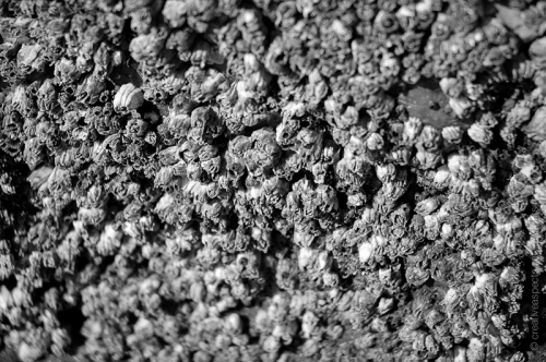 creativeaspects_portfolio_abstract-3