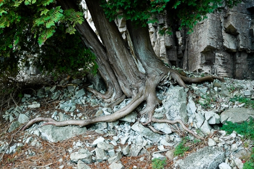 creativeaspects_portfolio_abstract-33