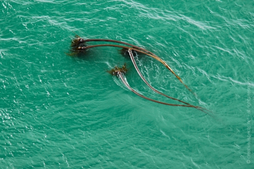 creativeaspects_portfolio_abstract-7