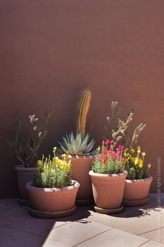 creativeaspects_portfolio_arizona_013