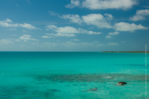 creativeaspects_portfolio_bahamas_011