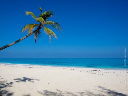 creativeaspects_portfolio_bahamas_019