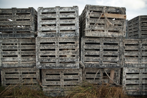 creativeaspects_portfolio_bahamas_021