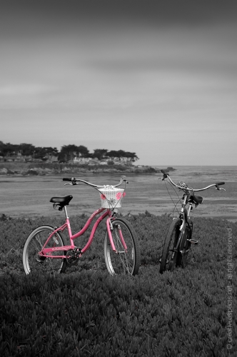 creativeaspects_portfolio_california_003