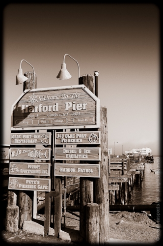 creativeaspects_portfolio_california_013