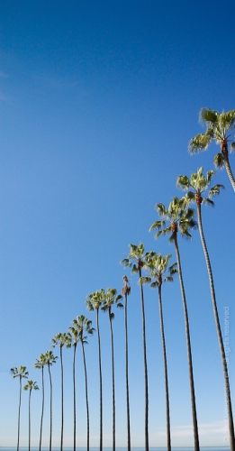 creativeaspects_portfolio_california_021