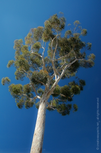 creativeaspects_portfolio_california_022