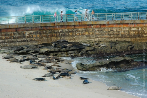 creativeaspects_portfolio_california_028