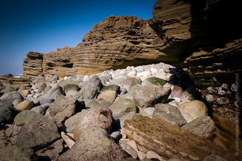 creativeaspects_portfolio_california_037