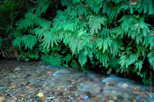 creativeaspects_portfolio_california_040