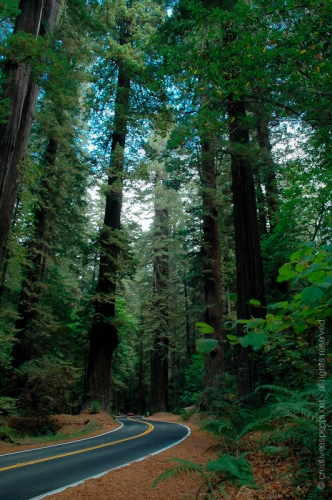 creativeaspects_portfolio_california_042