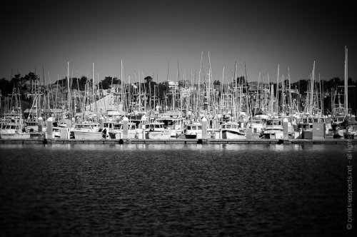 creativeaspects_portfolio_california_044