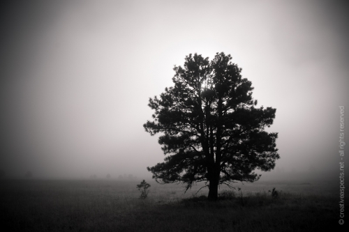 creativeaspects_portfolio_colorado_001