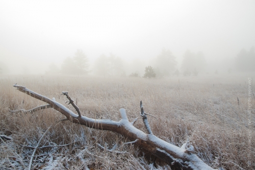 creativeaspects_portfolio_colorado_002