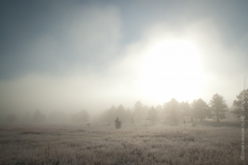 creativeaspects_portfolio_colorado_003