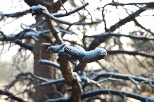 creativeaspects_portfolio_colorado_004