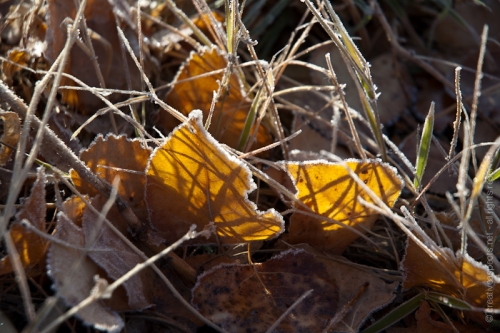 creativeaspects_portfolio_colorado_005