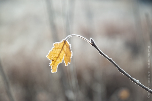 creativeaspects_portfolio_colorado_006