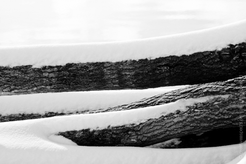 creativeaspects_portfolio_colorado_010