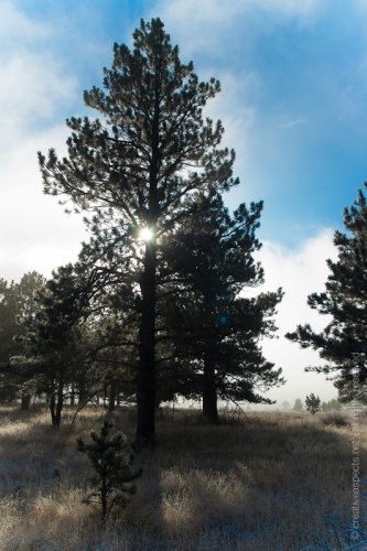 creativeaspects_portfolio_colorado_011