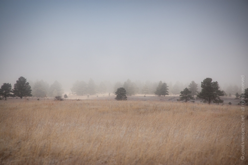 creativeaspects_portfolio_colorado_013