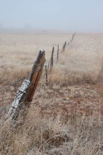 creativeaspects_portfolio_colorado_014