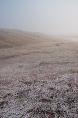 creativeaspects_portfolio_colorado_015