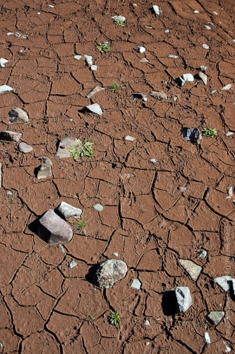 creativeaspects_portfolio_colorado_023