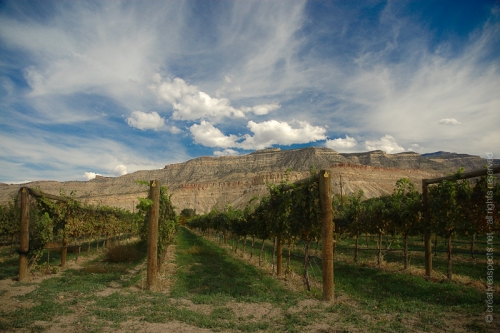 creativeaspects_portfolio_colorado_026