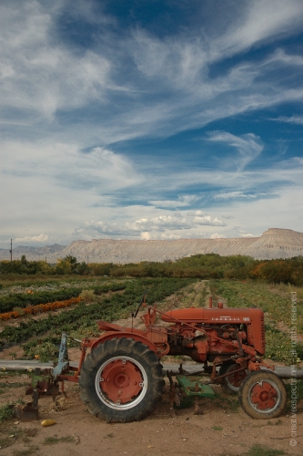 creativeaspects_portfolio_colorado_027