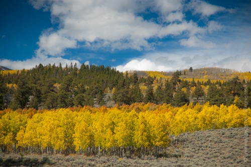 creativeaspects_portfolio_colorado_032