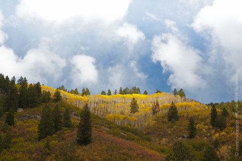 creativeaspects_portfolio_colorado_034