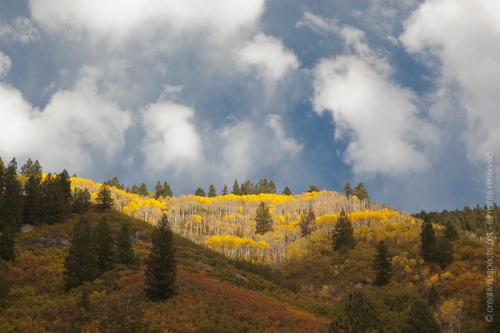 creativeaspects_portfolio_colorado_035