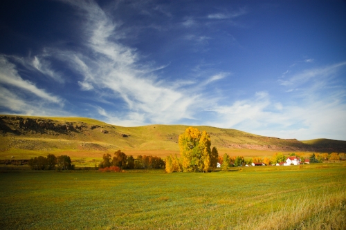 creativeaspects_portfolio_colorado_036