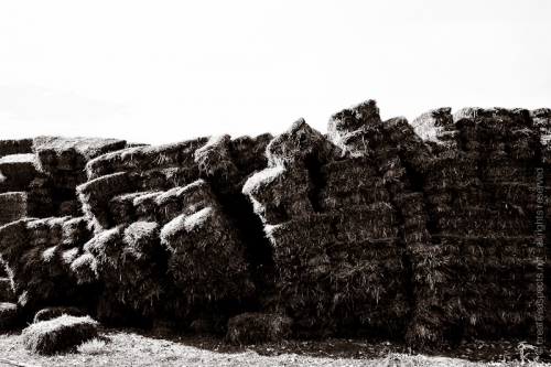 creativeaspects_portfolio_colorado_038