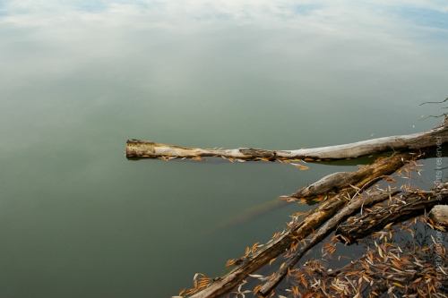 creativeaspects_portfolio_colorado_039