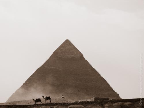 creativeaspects_portfolio_egypt_001