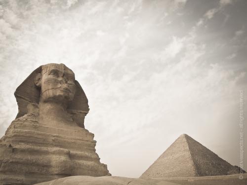 creativeaspects_portfolio_egypt_006