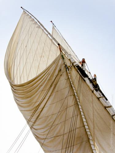 creativeaspects_portfolio_egypt_013