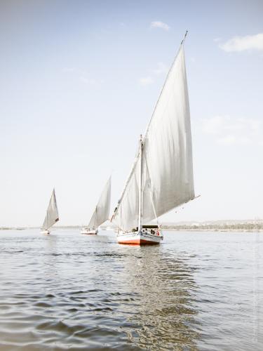 creativeaspects_portfolio_egypt_014