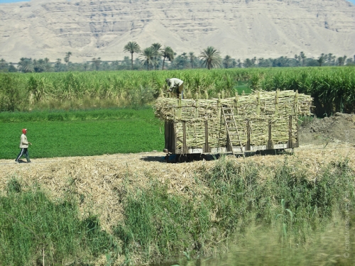 creativeaspects_portfolio_egypt_030