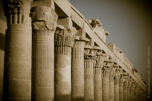 creativeaspects_portfolio_egypt_037