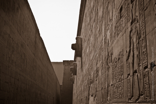 creativeaspects_portfolio_egypt_041