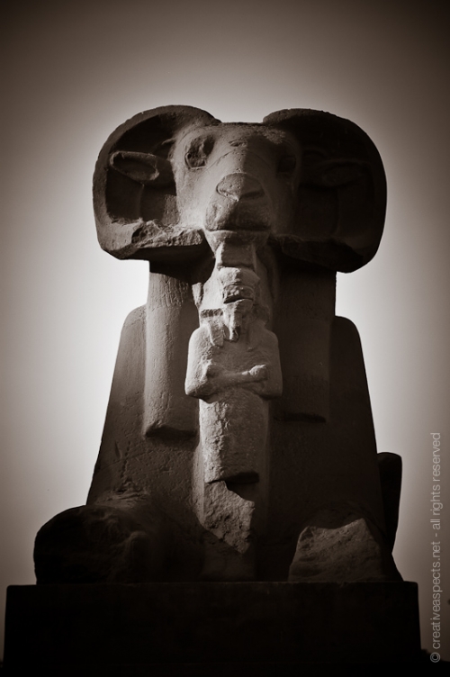 creativeaspects_portfolio_egypt_064